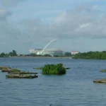 Wetlands in West London Wildlife, Nature Reserves and Conservation