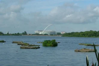 Wetlands in West London Wildlife, Nature Reserves and Conservation